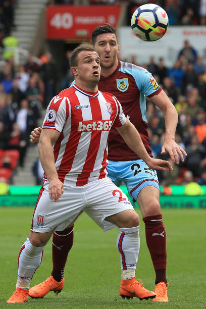 无疑是这条 无疑是这条